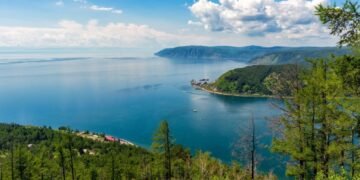 У природи менше запасних планів, ніж вважали вчені: чим загрожує втрата видів