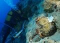 Вчені, можливо, виявили найстаріші уламки корабля у світі