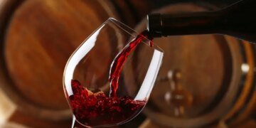 Дослідження показало, як алкоголь може запускати руйнівні процеси в мозку