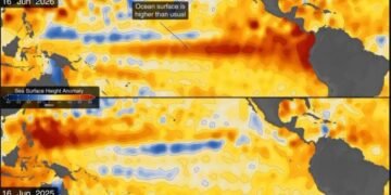 Супутники NASA спостерігають за Ель-Ніньйо: океан уже піднявся на 40 сантиметрів